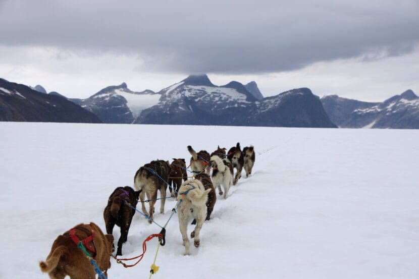 juneau city and glacier tour