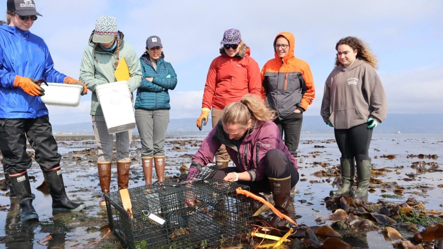 Proposed NOAA cuts could shutter research institutes that train the ...