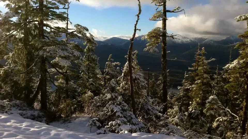 Public land sales in Alaska, western US removed from federal reconciliation bill again