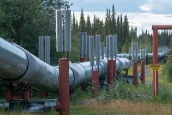 The Trans-Alaska Pipeline is pictured at pipeline mile 709.7 along the Richardson Highway south of Copper Center, Alaska on August 13, 2024.