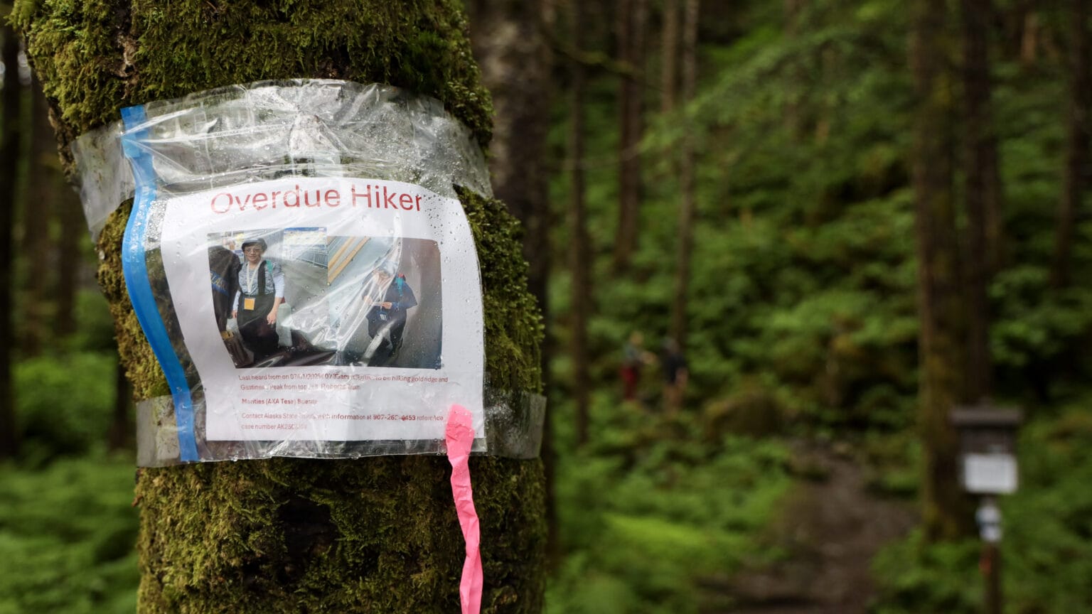 Body of missing cruise ship passenger found in Juneau mountains