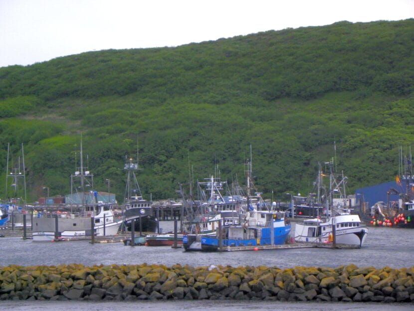 boats in harbor at Sand Point