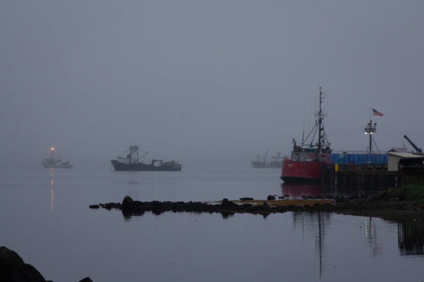 The June salmon harvest in the southern Alaska Peninsula was the worst in 4 decades The June salmon harvest in the southern Alaska Peninsula was the worst in 4 decades
