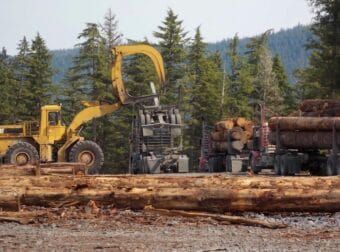 Logs being moved from the road system to water on Kupreanof Island near Petersburg in 2013.