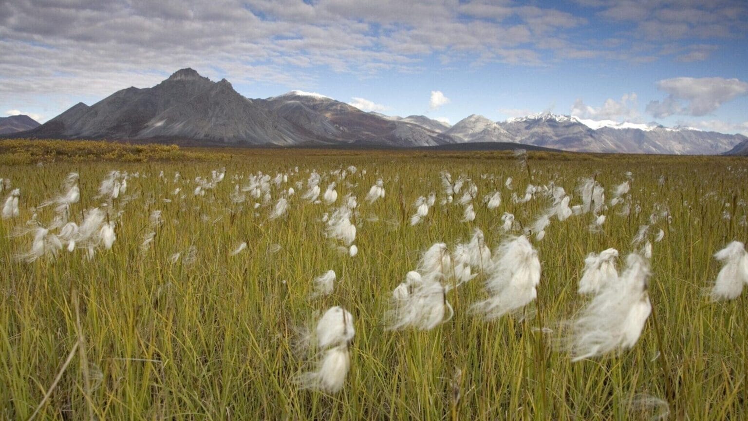 Alaska loses lawsuit that challenged the western boundary of the Arc...