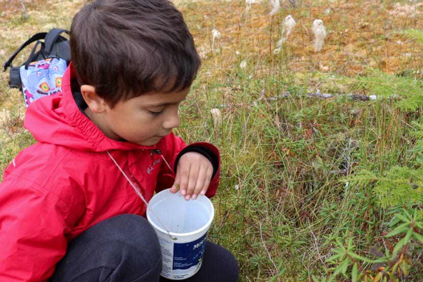 A child in a red rain jacket puts tea leaves in a yogurt carton hanging from his next on string.