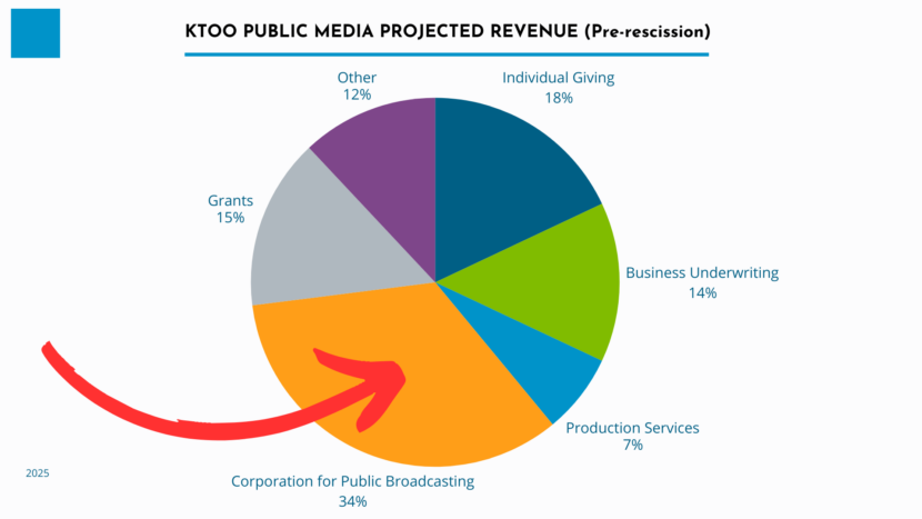 Pie chart showing 34% of FY26 revenue coming from the federal government