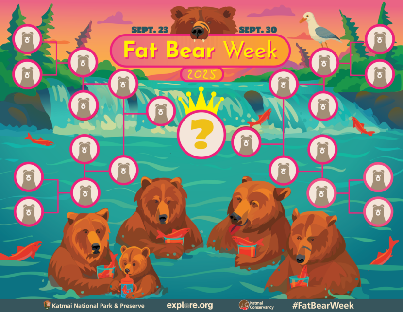 Place your Fat Bear Week bets starting Tuesday Place your Fat Bear Week bets starting Tuesday