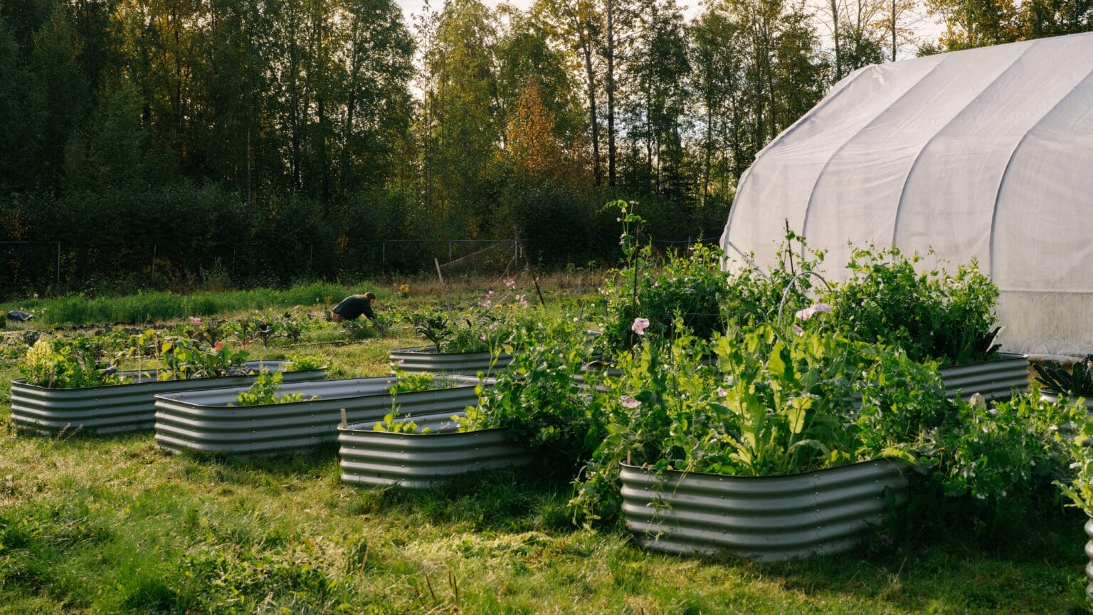 Alaska Native leaders say the USDA's reorganization plan could threa...