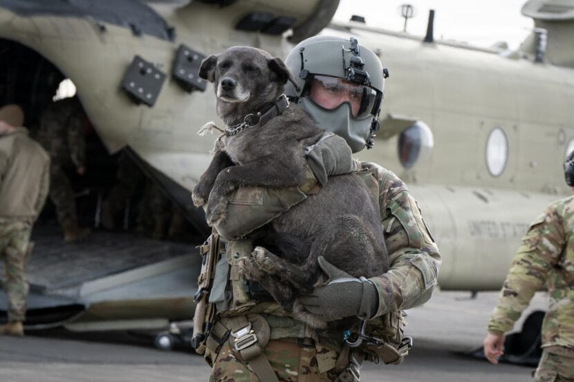Army National Guard aviator carrying dog