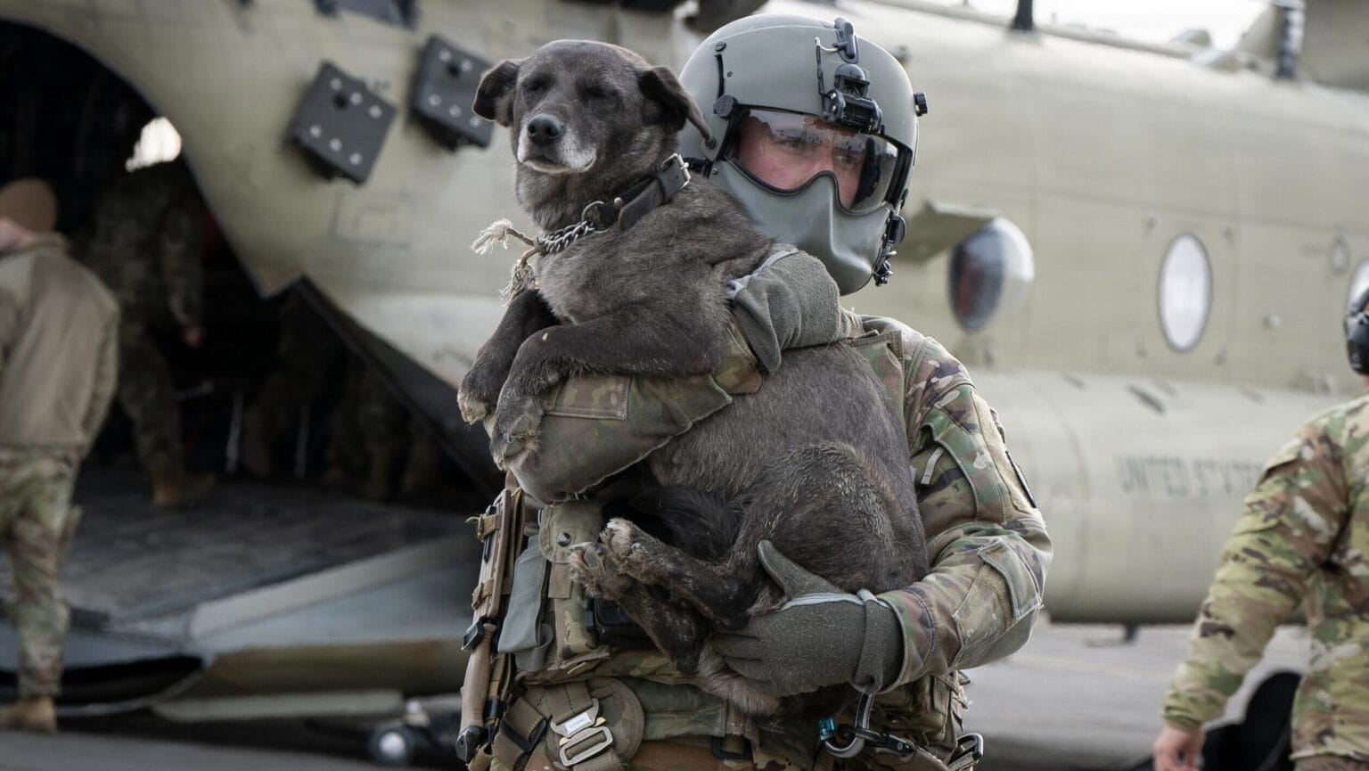Dog evacuations continue from Western Alaska villages hit hard by re...