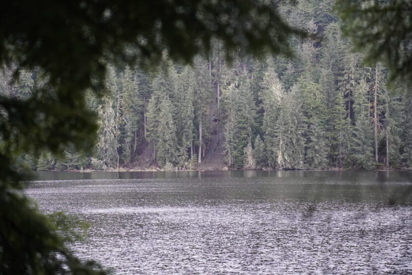 Two landslides washed out roughly 150 feet of Auke Lake Trail, which is just over a mile long, in September. The debris can be seen from the boat launch across the lake. (Photo by Alix Soliman/KTOO)