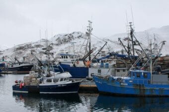 Dutch Harbor fleet at Carl Moses harbor. December 2023 Theo Greenly / KUCB