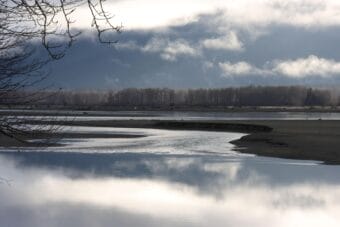 A broad, calm river on a foggy autumn day, with bare trees lining the far shore.
