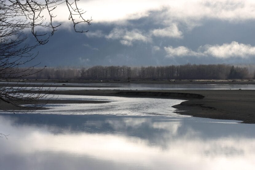 A broad, calm river on a foggy autumn day, with bare trees lining the far shore.