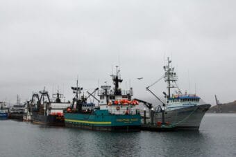Fishing boats lined up at the Spit Dock in Unalaska's Port of Dutch Harbor, Nov. 19, 2025.