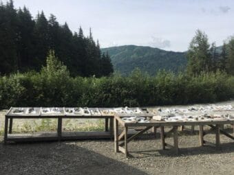 Core rock samples at the Palmer Project.