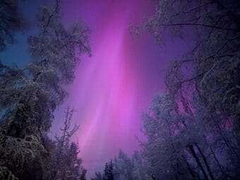 The aurora visible from west Fairbanks on Nov. 11, 2025.