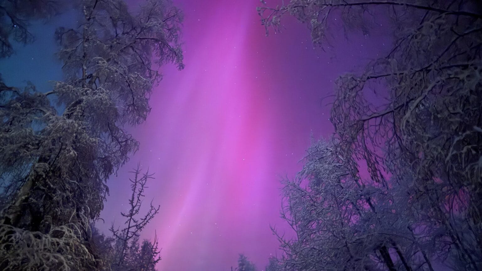 Even scientists who’ve studied the aurora for decades say this solar storm is special