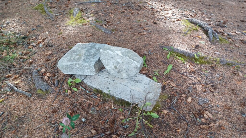 Haines mayor proposes borough ‘return Tlingit Park to the Tlingits’