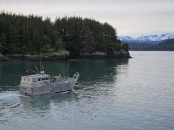A commercial bowpicker is seen headed out of the Cordova harbor for a salmon fishing opener in June 2024