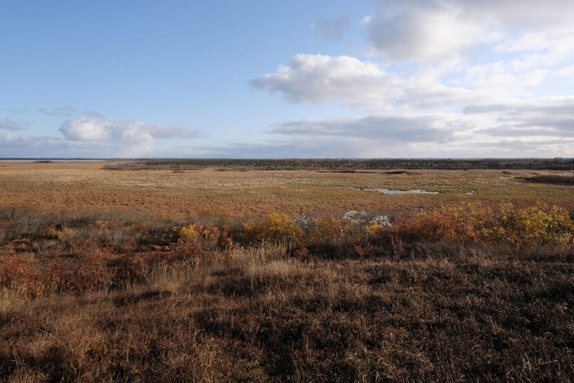 The tundra surrounding Bethel, Alaska turns red and gold in the fall. 