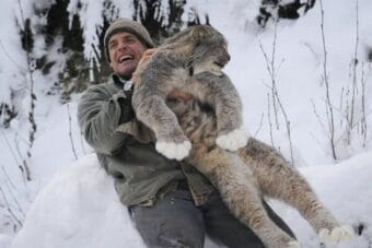 Steve Kroschel with a lynx.
