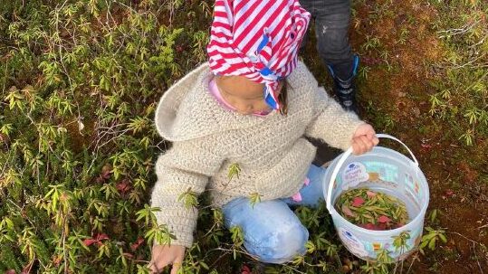 Kin Support Program’s Positive Indigenous Parenting series, Theater at Latitude 58’s ‘Camelot,’ and Planet Ski offers a journey through the solar system