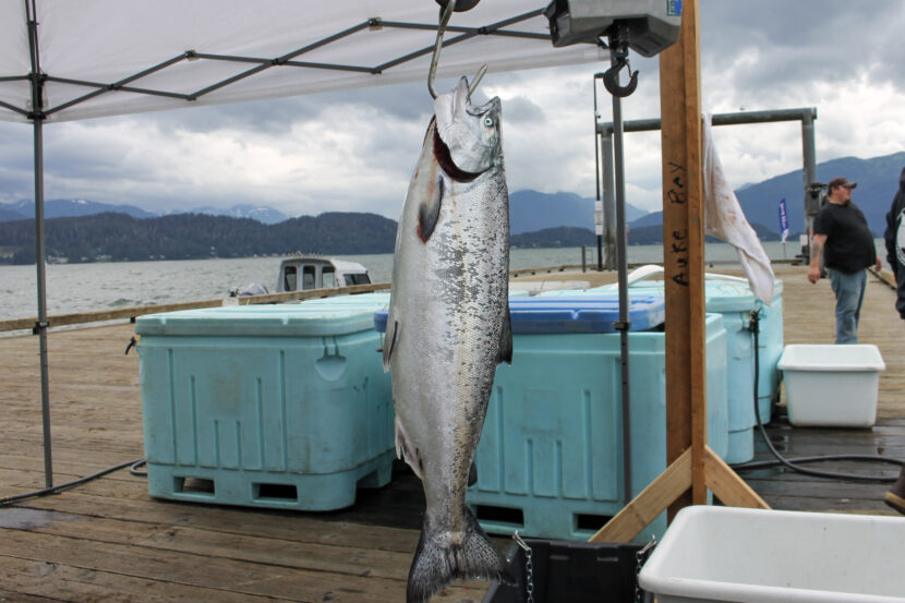 Wild king salmon sport regulations take effect in Juneau area