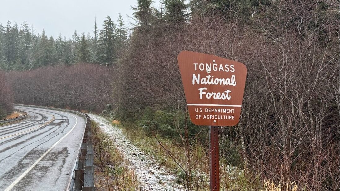 Future of Juneau’s Forest Service lab in limbo after agency announces restructuring, closes Anchorage Forestry Lab