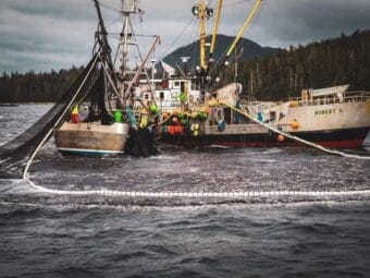 Herring fishing boats in Alaska Gulf. (UFA/Facebook) https://www.facebook.com/UnitedFishermenAK