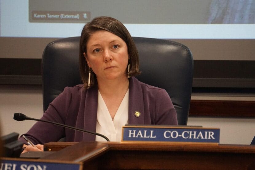 Alaska Legislature considers bill mandating paid leave for many new parents, starting in 2030