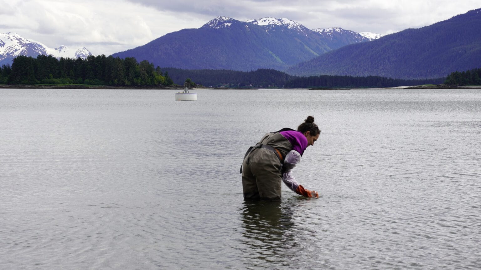 Beach testing for fecal bacteria underway in Juneau for second summer in a row
