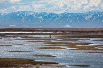 ANWR lease sale draws $3.7M in winning bids, but major oil and gas players stay home