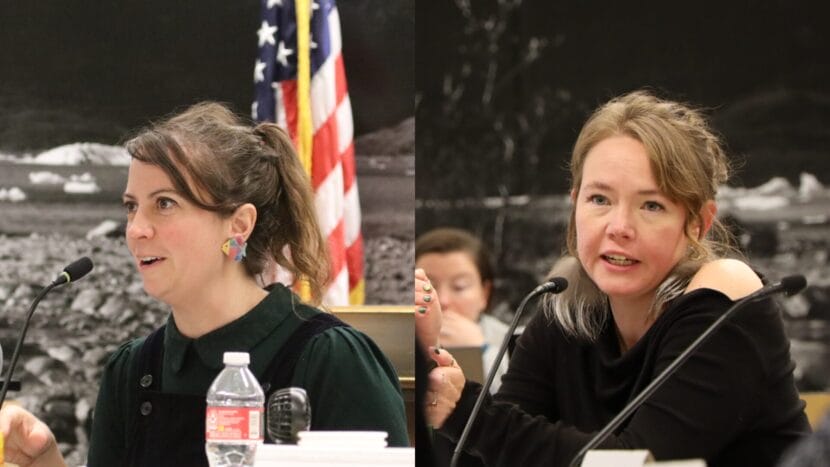 Assembly members Christine Woll, Alicia Hughes-Skandijs not running for reelection this fall