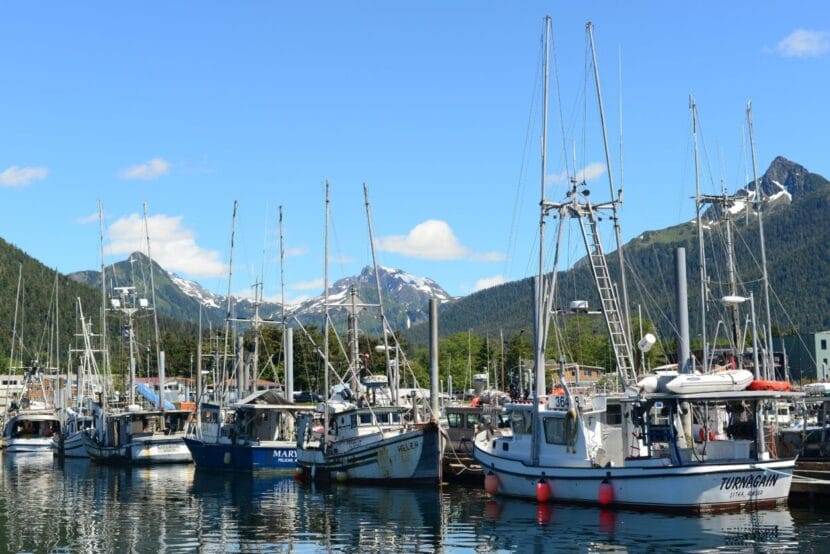 Commercial troll fishery stays open with half of allotted kings remaining
