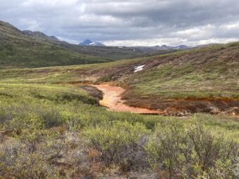 Rusting on a tributary of the Eli River, taken on Patrick Sullivan's research trip in June. Sullivan said it shows iron throughout the aufeis and in the shrubs, which suggests that metals were being released throughout the winter.