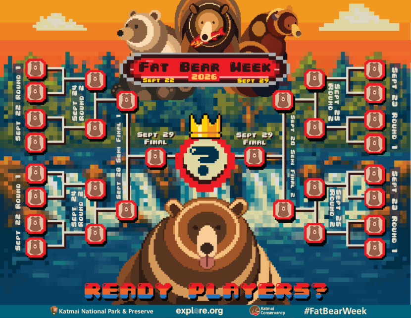 Fat Bear Week returns for fall 2026