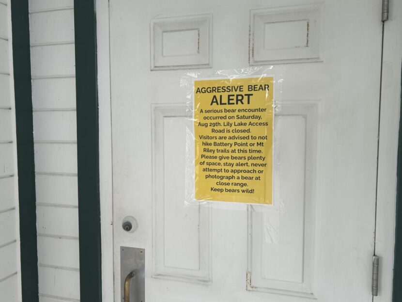 Second Haines resident is injured by a bear in less than a month