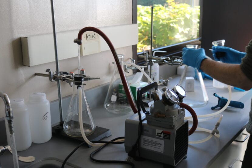 UAS scientists are trying to predict harmful algal blooms as super El Niño heats up