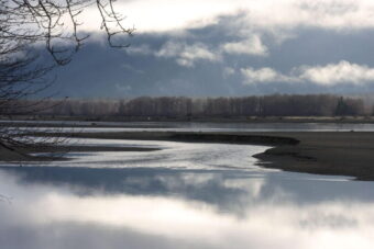 The Chilkat River, outside Haines, pictured above in November, 2025.